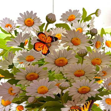 White Daisy Garden with Butterflies Origami Pop Cards 3D Pop Up Greeting Card Happy Birthday Thank You Handmade Gift Thinking of You Blank Card for Any Occasion Happy Mother's Day Happy Father's Australiana Celebrate the Beauty of Flower
