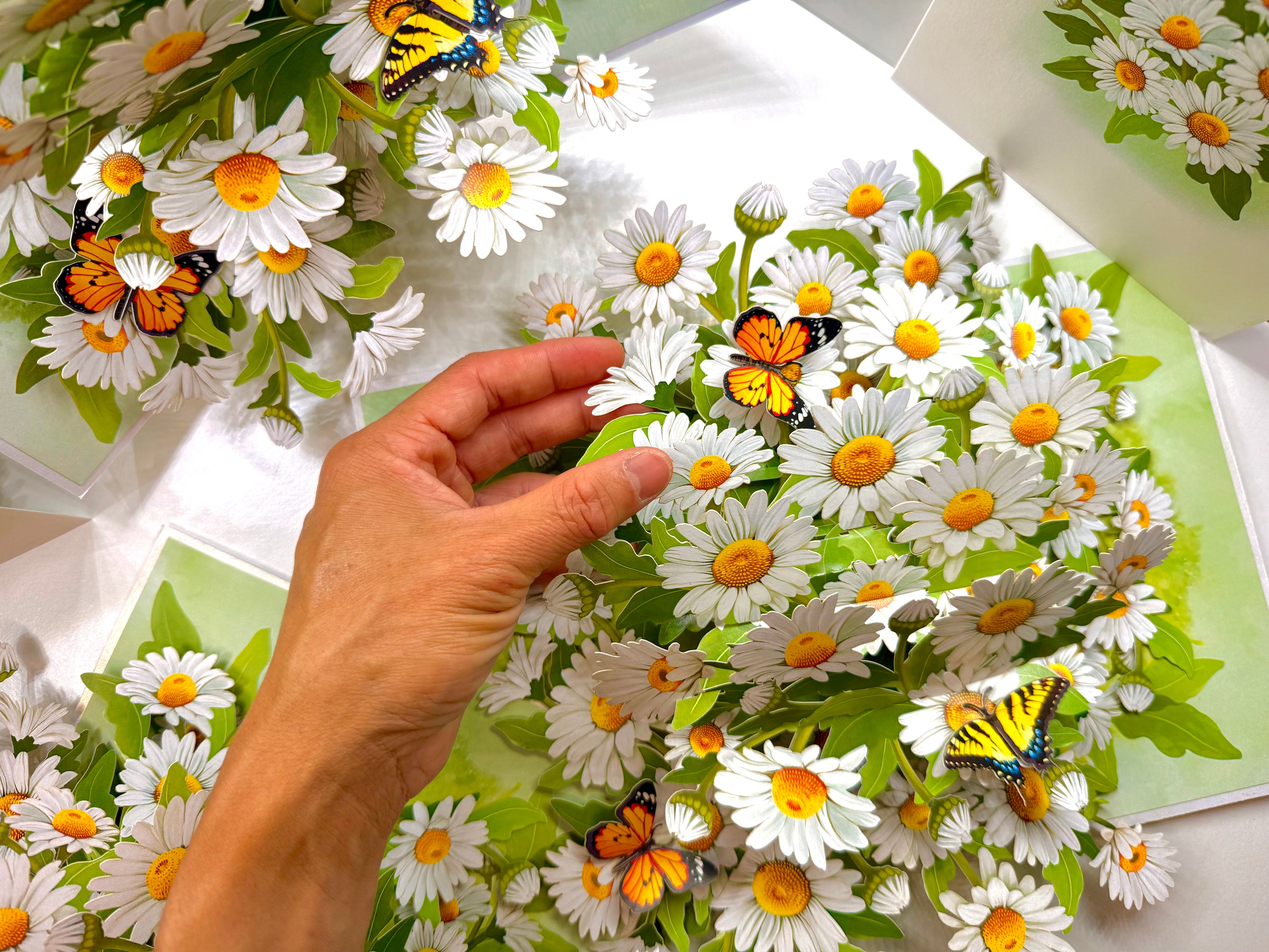 White Daisy Garden with Butterflies Origami Pop Cards 3D Pop Up Greeting Card Happy Birthday Thank You Handmade Gift Thinking of You Blank Card for Any Occasion Happy Mother's Day Happy Father's Australiana Celebrate the Beauty of Flower