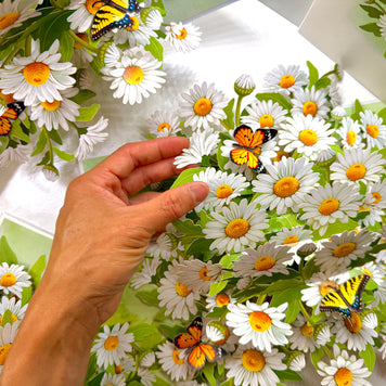 White Daisy Garden with Butterflies Origami Pop Cards 3D Pop Up Greeting Card Happy Birthday Thank You Handmade Gift Thinking of You Blank Card for Any Occasion Happy Mother's Day Happy Father's Australiana Celebrate the Beauty of Flower