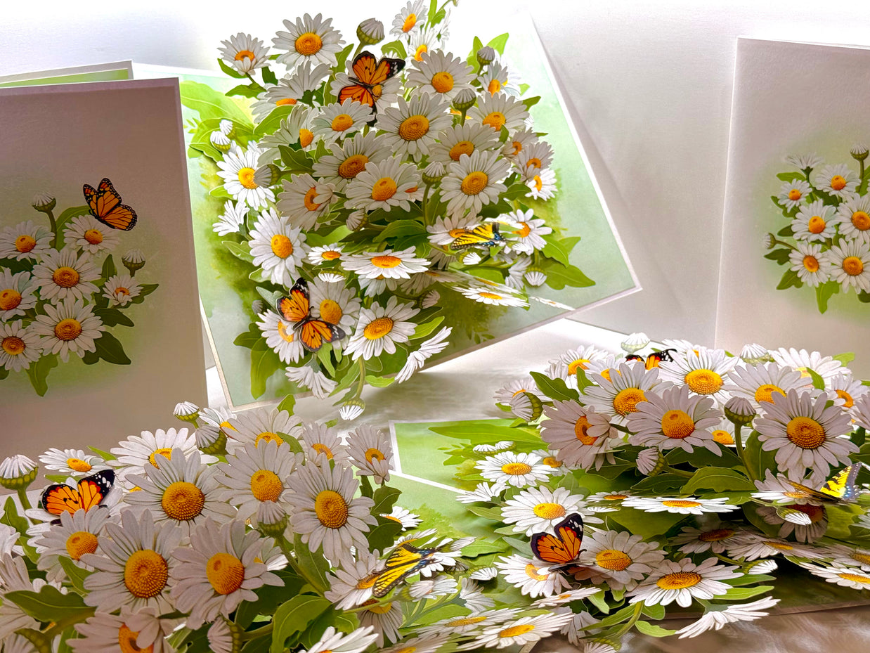 White Daisy Garden with Butterflies Origami Pop Cards 3D Pop Up Greeting Card Happy Birthday Thank You Handmade Gift Thinking of You Blank Card for Any Occasion Happy Mother's Day Happy Father's Australiana Celebrate the Beauty of Flower
