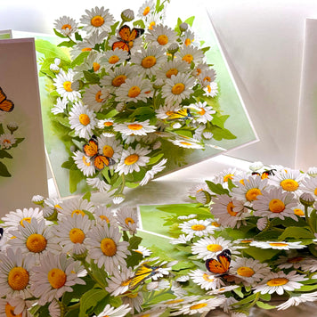White Daisy Garden with Butterflies Origami Pop Cards 3D Pop Up Greeting Card Happy Birthday Thank You Handmade Gift Thinking of You Blank Card for Any Occasion Happy Mother's Day Happy Father's Australiana Celebrate the Beauty of Flower