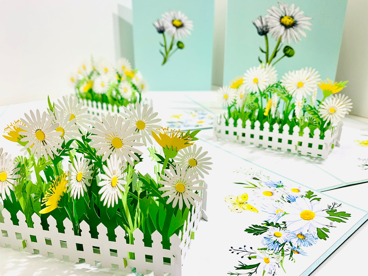 White Daisy Garden Pop Up Card - Bellis Perennis the simplicity & classic 
