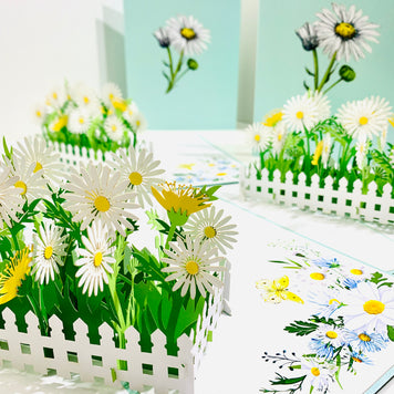 White Daisy Garden Pop Up Card - Bellis Perennis the simplicity & classic 