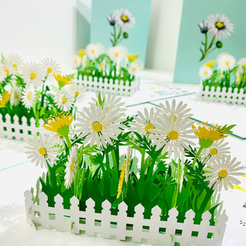 White Daisy Garden Pop Up Card - Bellis Perennis the simplicity & classic 