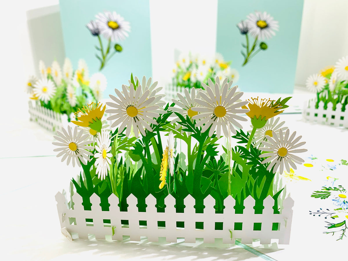 White Daisy Garden Pop Up Card - Bellis Perennis the simplicity & classic 