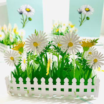 White Daisy Garden Pop Up Card - Bellis Perennis the simplicity & classic 