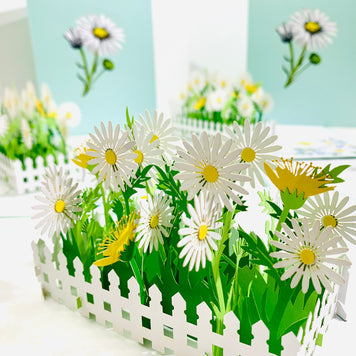 White Daisy Garden Pop Up Card - Bellis Perennis the simplicity & classic 
