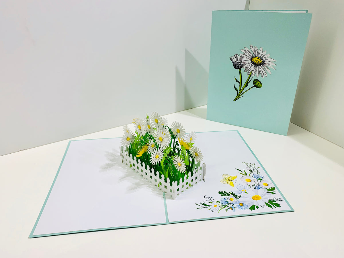 White Daisy Garden Pop Up Card - Bellis Perennis the simplicity & classic 