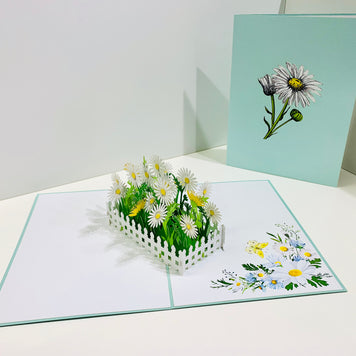 White Daisy Garden Pop Up Card - Bellis Perennis the simplicity & classic 