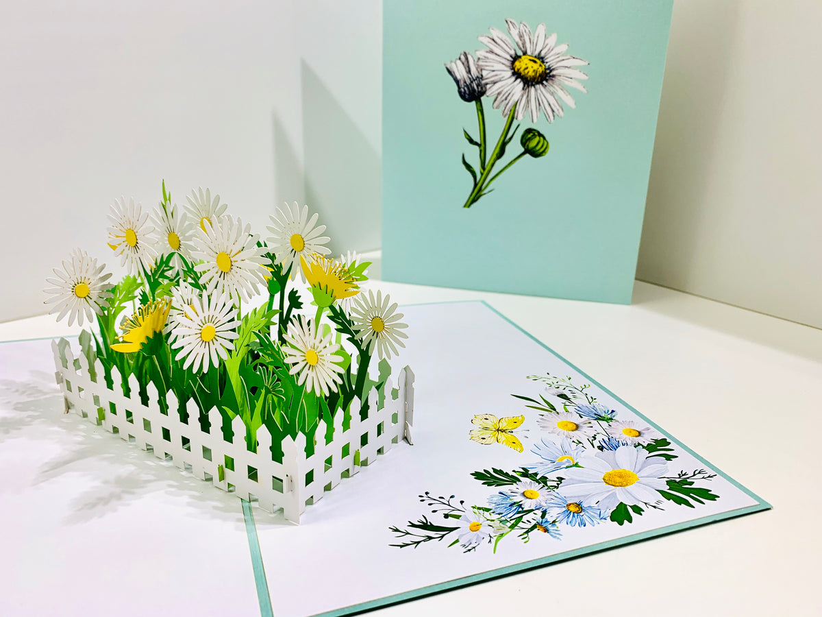 White Daisy Garden Pop Up Card - Bellis Perennis the simplicity & classic 
