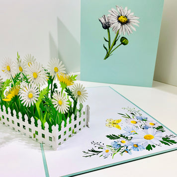 White Daisy Garden Pop Up Card - Bellis Perennis the simplicity & classic 