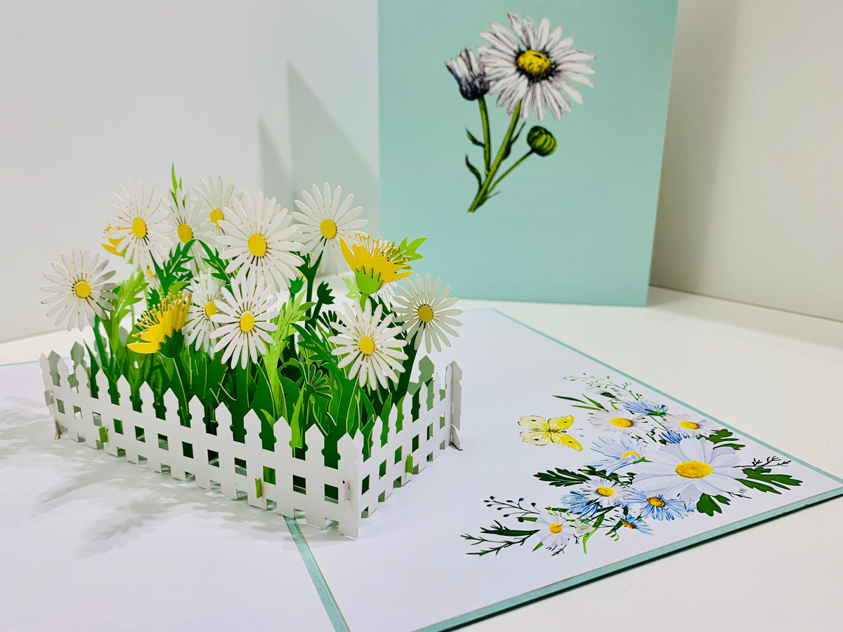 White Daisy Garden Pop Up Card - Bellis Perennis the simplicity & classic 