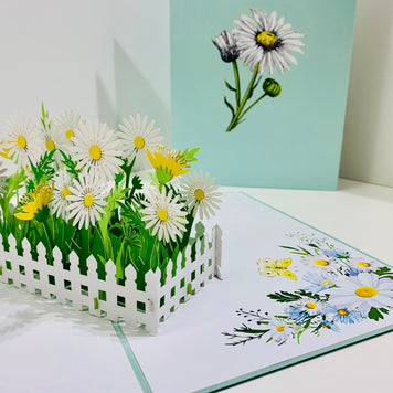 White Daisy Garden Pop Up Card - Bellis Perennis the simplicity & classic 