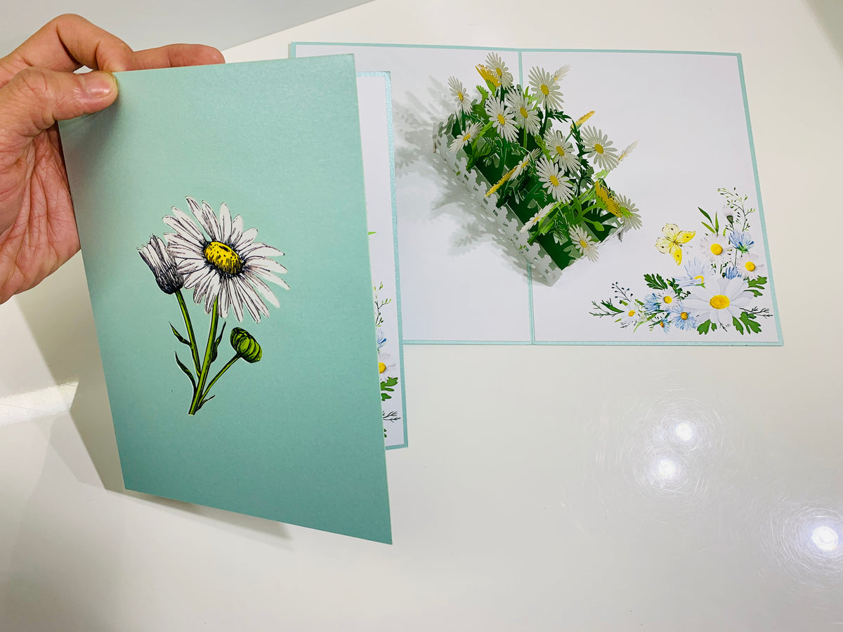 White Daisy Garden Pop Up Card - Bellis Perennis the simplicity & classic 