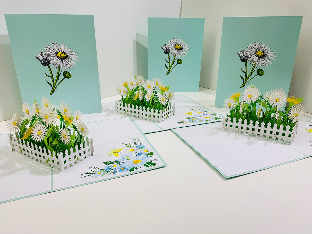 White Daisy Garden Pop Up Card - Bellis Perennis the simplicity & classic 