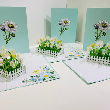 White Daisy Garden Pop Up Card - Bellis Perennis the simplicity & classic 