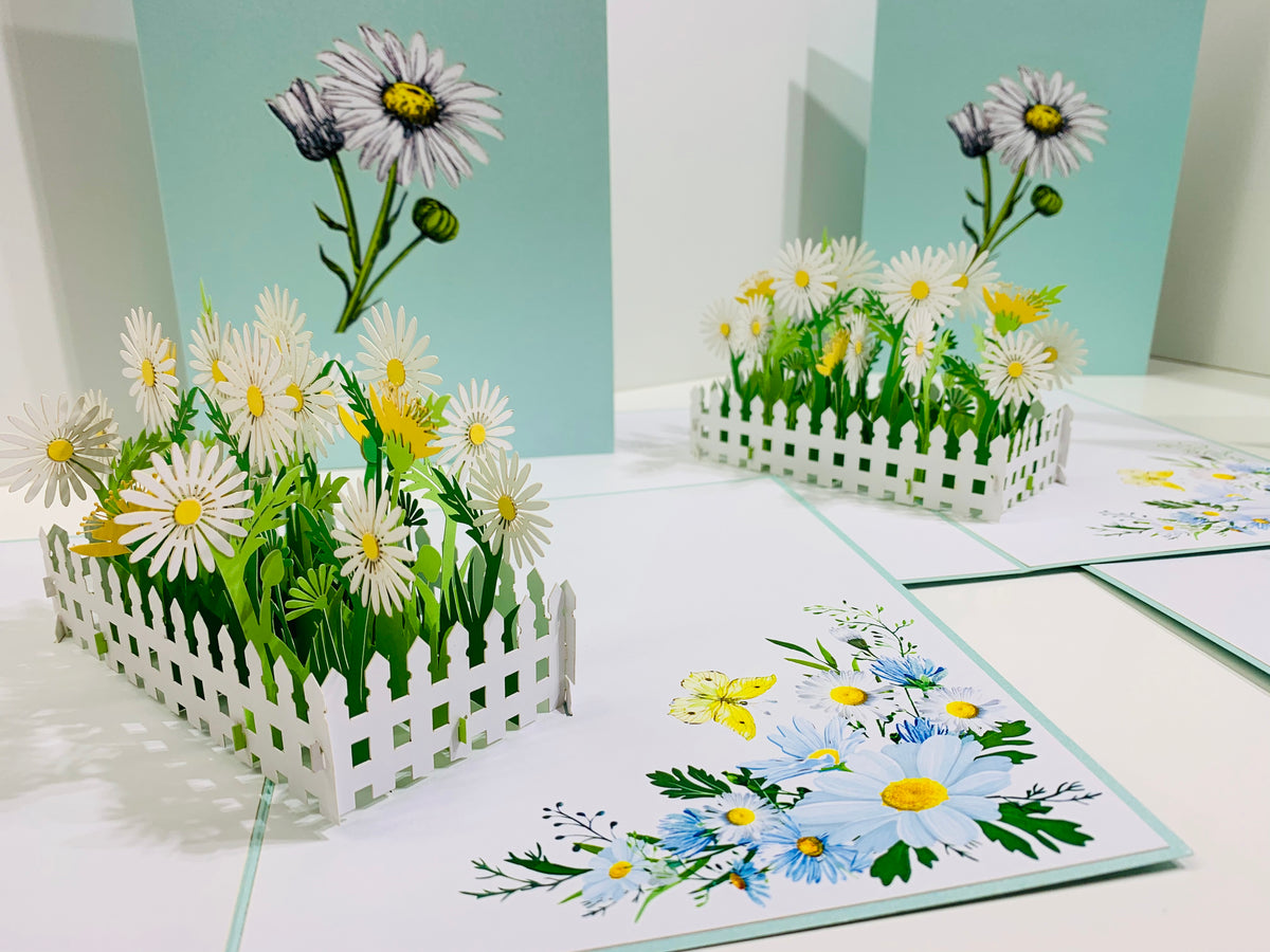 White Daisy Garden Pop Up Card - Bellis Perennis the simplicity & classic 