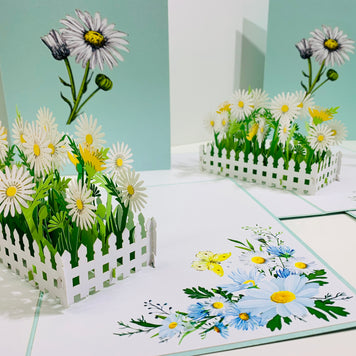 White Daisy Garden Pop Up Card - Bellis Perennis the simplicity & classic 