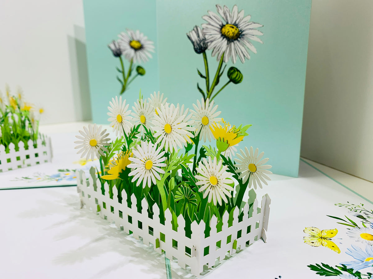 White Daisy Garden Pop Up Card - Bellis Perennis the simplicity & classic 