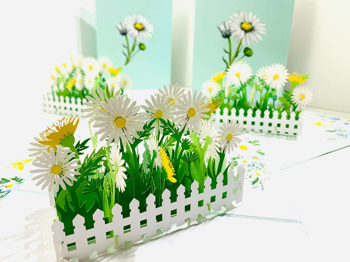 White Daisy Garden Pop Up Card - Bellis Perennis the simplicity & classic 