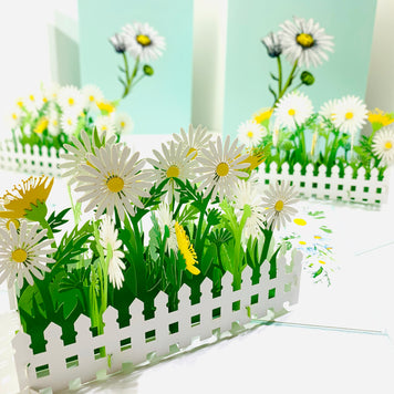 White Daisy Garden Pop Up Card - Bellis Perennis the simplicity & classic 