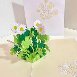 White Daisy & Clover Pop Up Card - Bellis Perennis the simplicity & classic 