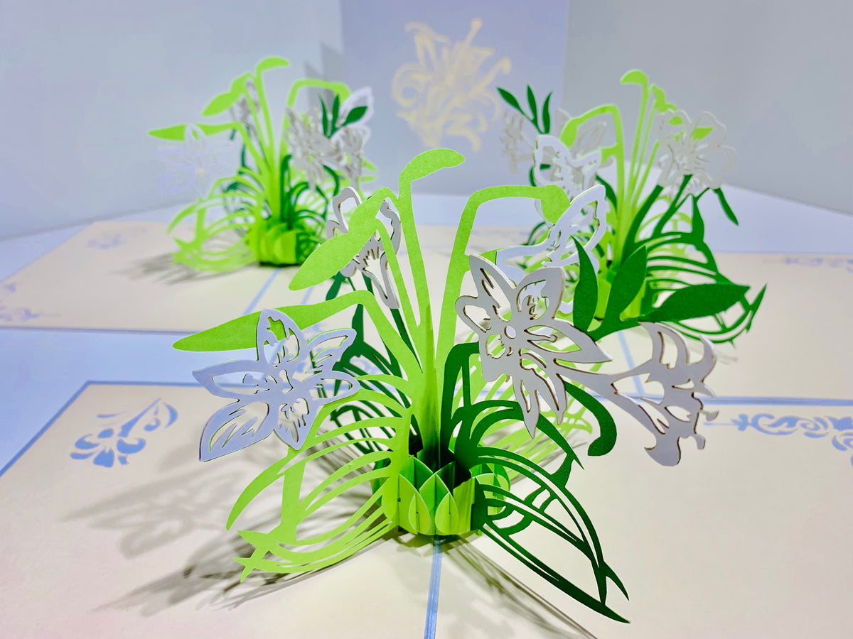 White Lily Flowers - Origami Pop Cards 3D Pop Up Greeting Card Happy Birthday Thank You Handmade Gift Thinking of You Blank Card for Any Occasion Happy Mother's Day Australiana Celebrate the Beauty