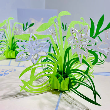 White Lily Flowers - Origami Pop Cards 3D Pop Up Greeting Card Happy Birthday Thank You Handmade Gift Thinking of You Blank Card for Any Occasion Happy Mother's Day Australiana Celebrate the Beauty
