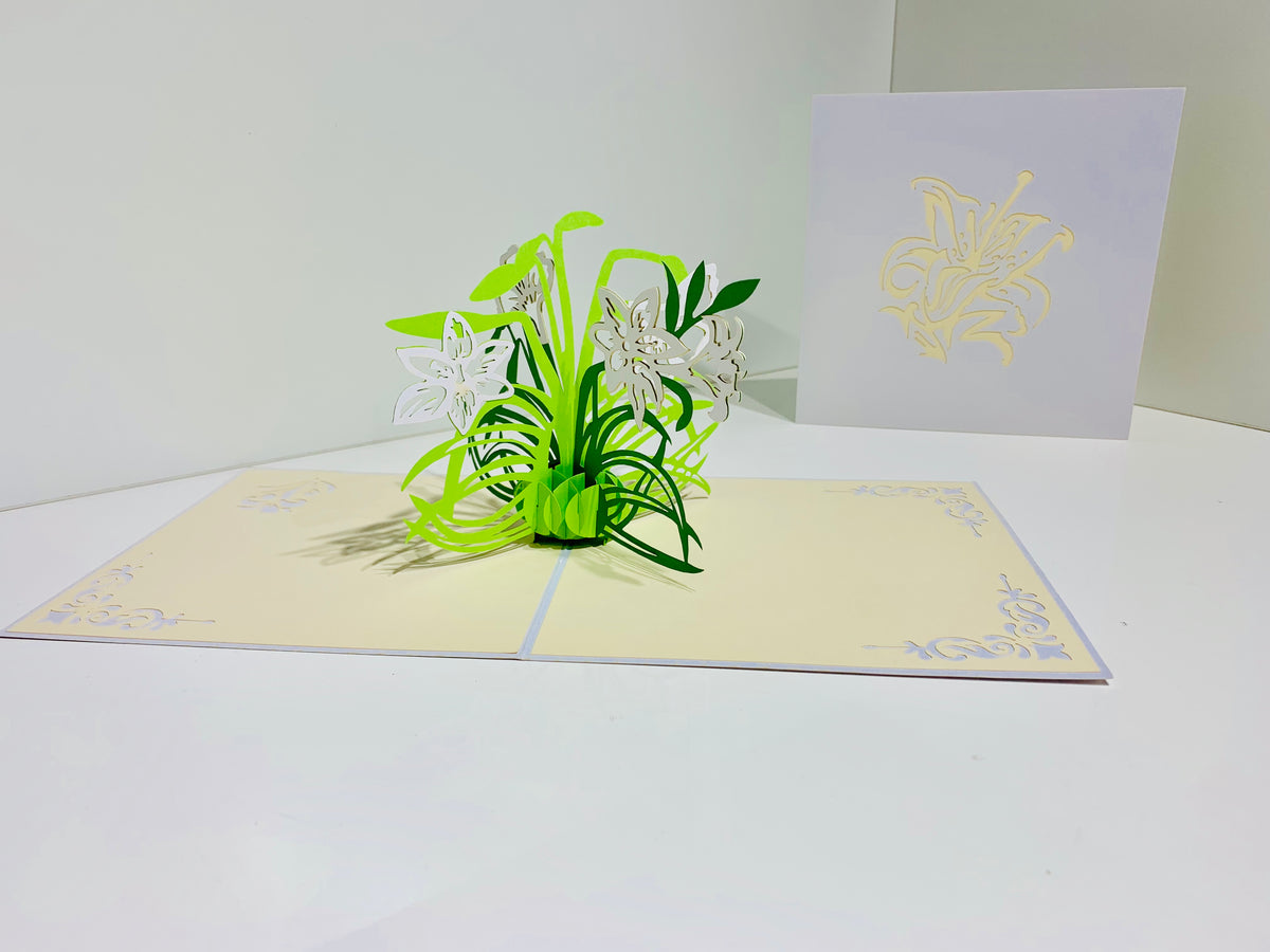 White Lily Flowers - Origami Pop Cards 3D Pop Up Greeting Card Happy Birthday Thank You Handmade Gift Thinking of You Blank Card for Any Occasion Happy Mother's Day Australiana Celebrate the Beauty