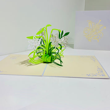 White Lily Flowers - Origami Pop Cards 3D Pop Up Greeting Card Happy Birthday Thank You Handmade Gift Thinking of You Blank Card for Any Occasion Happy Mother's Day Australiana Celebrate the Beauty