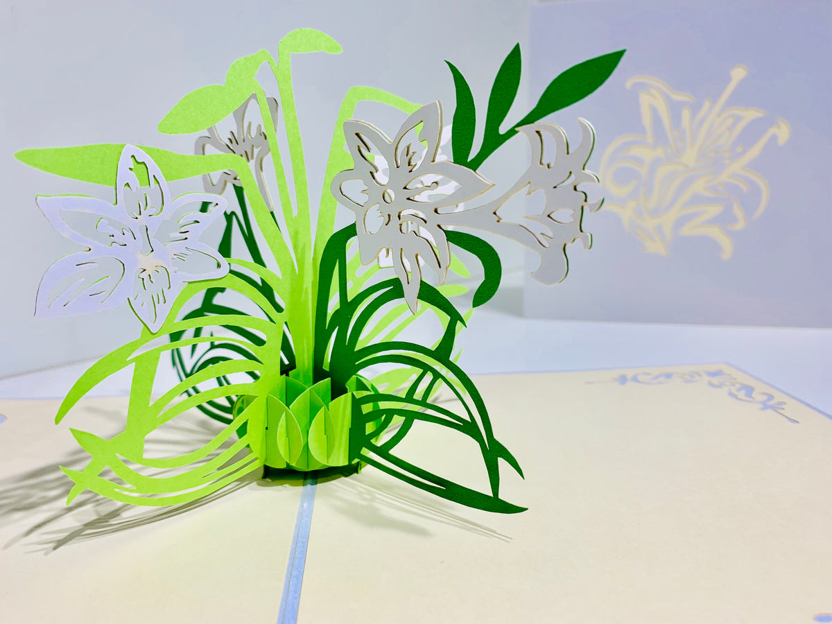 White Lily Flowers - Origami Pop Cards 3D Pop Up Greeting Card Happy Birthday Thank You Handmade Gift Thinking of You Blank Card for Any Occasion Happy Mother's Day Australiana Celebrate the Beauty