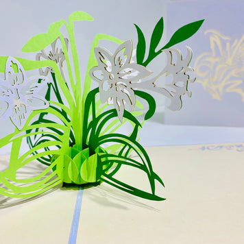 White Lily Flowers - Origami Pop Cards 3D Pop Up Greeting Card Happy Birthday Thank You Handmade Gift Thinking of You Blank Card for Any Occasion Happy Mother's Day Australiana Celebrate the Beauty