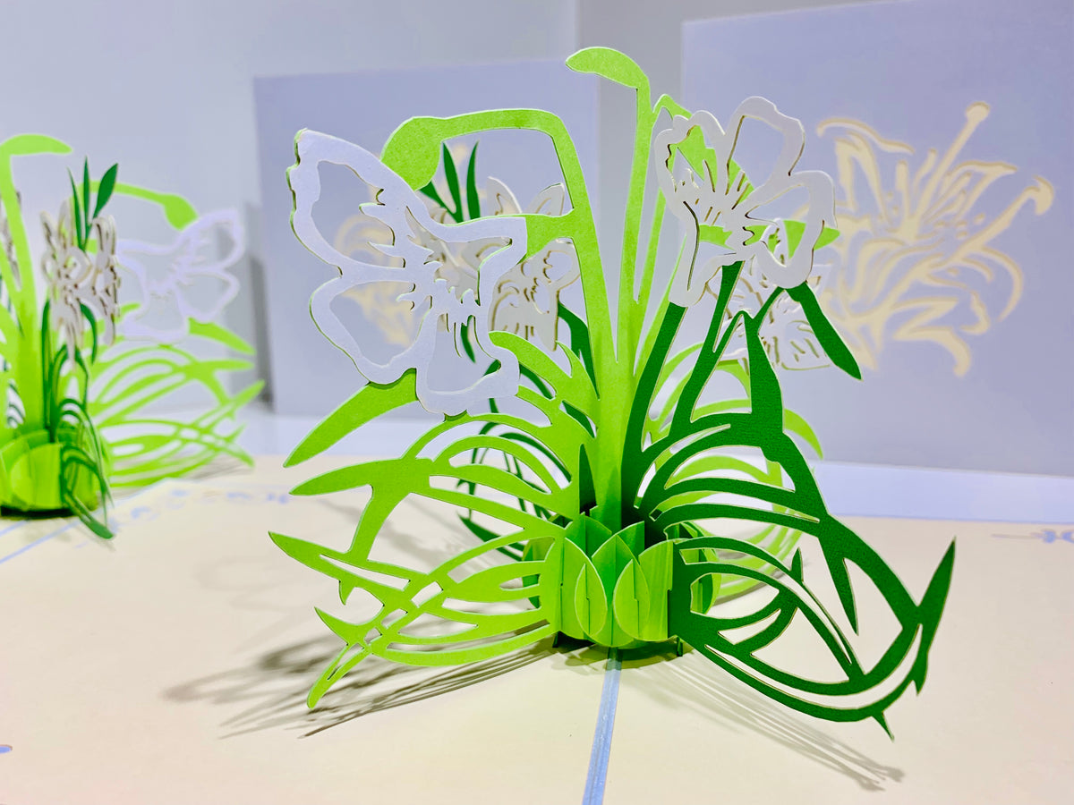 White Lily Flowers - Origami Pop Cards 3D Pop Up Greeting Card Happy Birthday Thank You Handmade Gift Thinking of You Blank Card for Any Occasion Happy Mother's Day Australiana Celebrate the Beauty