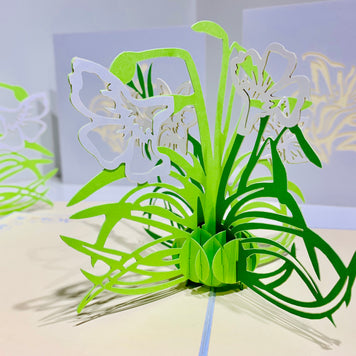 White Lily Flowers - Origami Pop Cards 3D Pop Up Greeting Card Happy Birthday Thank You Handmade Gift Thinking of You Blank Card for Any Occasion Happy Mother's Day Australiana Celebrate the Beauty