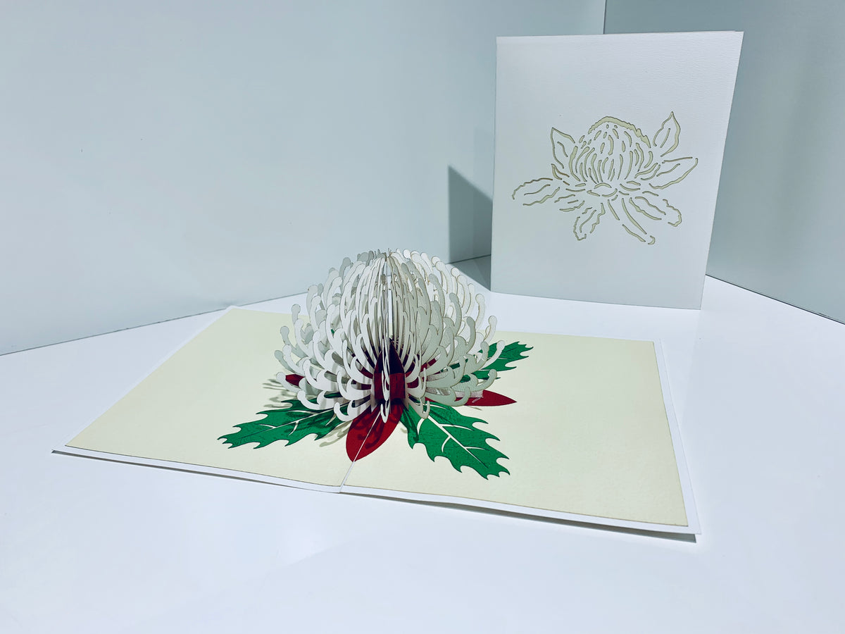 Waratah Australian Native Flower in White Origami Pop Cards 3D Pop Up Greeting Card Happy Birthday Thank You Handmade Gift Thinking of You Blank Card for Any Occasion Happy Mother's Day Happy Father's Australiana