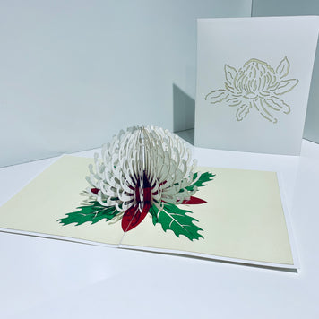 Waratah Australian Native Flower in White Origami Pop Cards 3D Pop Up Greeting Card Happy Birthday Thank You Handmade Gift Thinking of You Blank Card for Any Occasion Happy Mother's Day Happy Father's Australiana