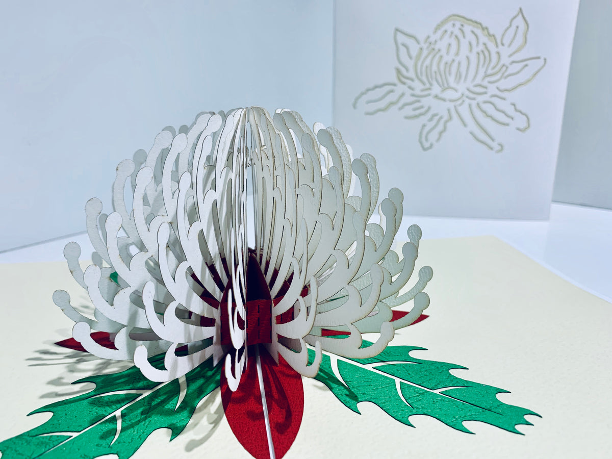 Waratah Australian Native Flower in White Origami Pop Cards 3D Pop Up Greeting Card Happy Birthday Thank You Handmade Gift Thinking of You Blank Card for Any Occasion Happy Mother's Day Happy Father's Australiana