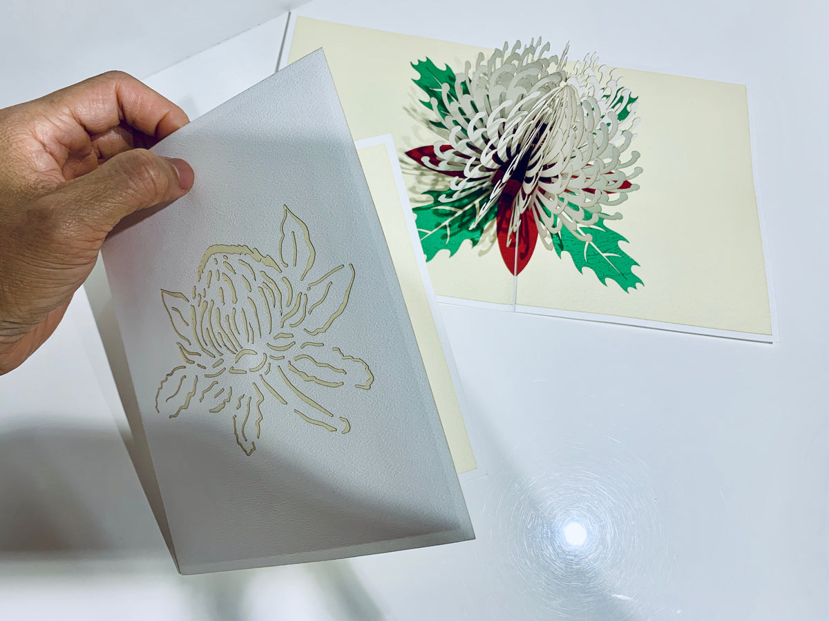 Waratah Australian Native Flower in White Origami Pop Cards 3D Pop Up Greeting Card Happy Birthday Thank You Handmade Gift Thinking of You Blank Card for Any Occasion Happy Mother's Day Happy Father's Australiana
