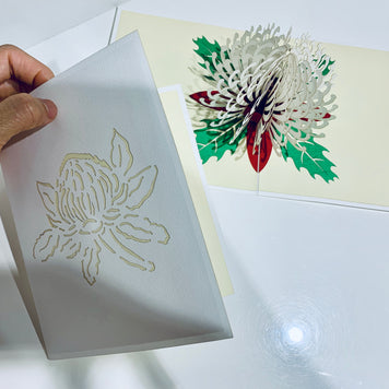 Waratah Australian Native Flower in White Origami Pop Cards 3D Pop Up Greeting Card Happy Birthday Thank You Handmade Gift Thinking of You Blank Card for Any Occasion Happy Mother's Day Happy Father's Australiana