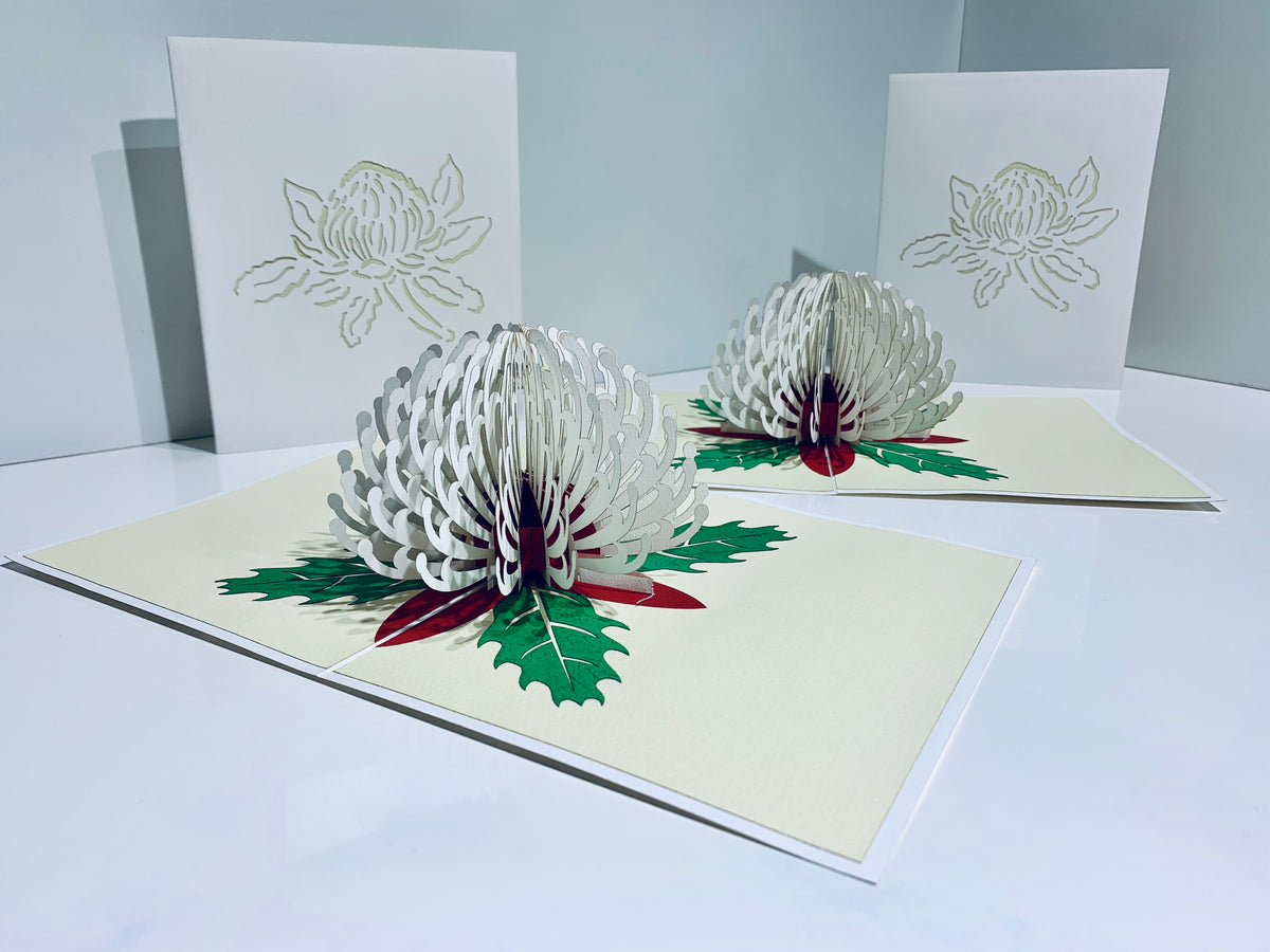 Waratah Australian Native Flower in White Origami Pop Cards 3D Pop Up Greeting Card Happy Birthday Thank You Handmade Gift Thinking of You Blank Card for Any Occasion Happy Mother's Day Happy Father's Australiana