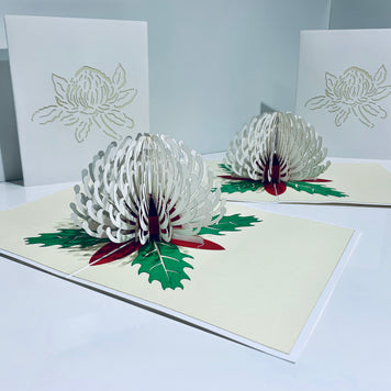 Waratah Australian Native Flower in White Origami Pop Cards 3D Pop Up Greeting Card Happy Birthday Thank You Handmade Gift Thinking of You Blank Card for Any Occasion Happy Mother's Day Happy Father's Australiana