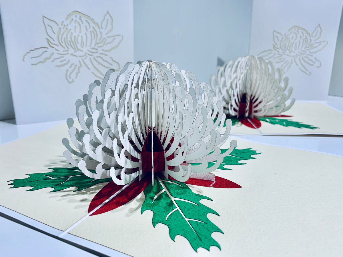 Waratah Australian Native Flower in White Origami Pop Cards 3D Pop Up Greeting Card Happy Birthday Thank You Handmade Gift Thinking of You Blank Card for Any Occasion Happy Mother's Day Happy Father's Australiana