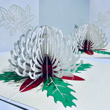 Waratah Australian Native Flower in White Origami Pop Cards 3D Pop Up Greeting Card Happy Birthday Thank You Handmade Gift Thinking of You Blank Card for Any Occasion Happy Mother's Day Happy Father's Australiana