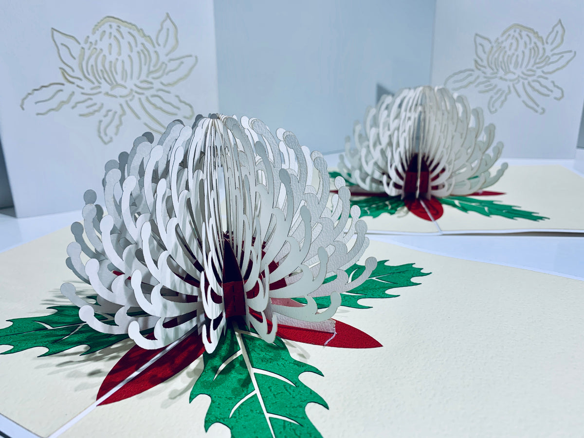 Waratah Australian Native Flower in White Origami Pop Cards 3D Pop Up Greeting Card Happy Birthday Thank You Handmade Gift Thinking of You Blank Card for Any Occasion Happy Mother's Day Happy Father's Australiana