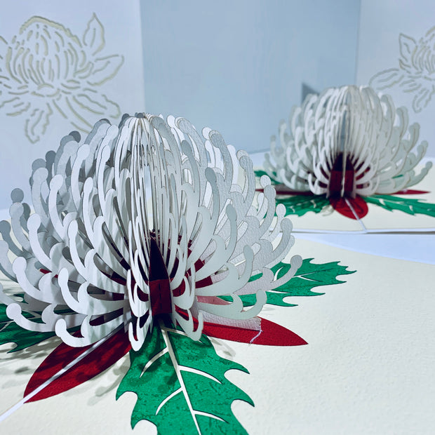 Waratah Australian Native Flower in White Origami Pop Cards 3D Pop Up Greeting Card Happy Birthday Thank You Handmade Gift Thinking of You Blank Card for Any Occasion Happy Mother's Day Happy Father's Australiana