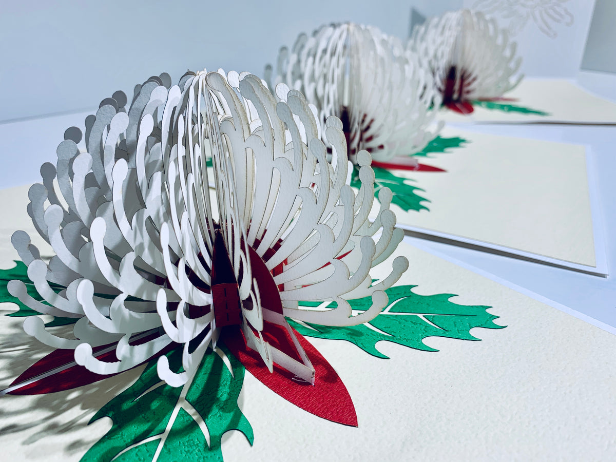 Waratah Australian Native Flower in White Origami Pop Cards 3D Pop Up Greeting Card Happy Birthday Thank You Handmade Gift Thinking of You Blank Card for Any Occasion Happy Mother's Day Happy Father's Australiana