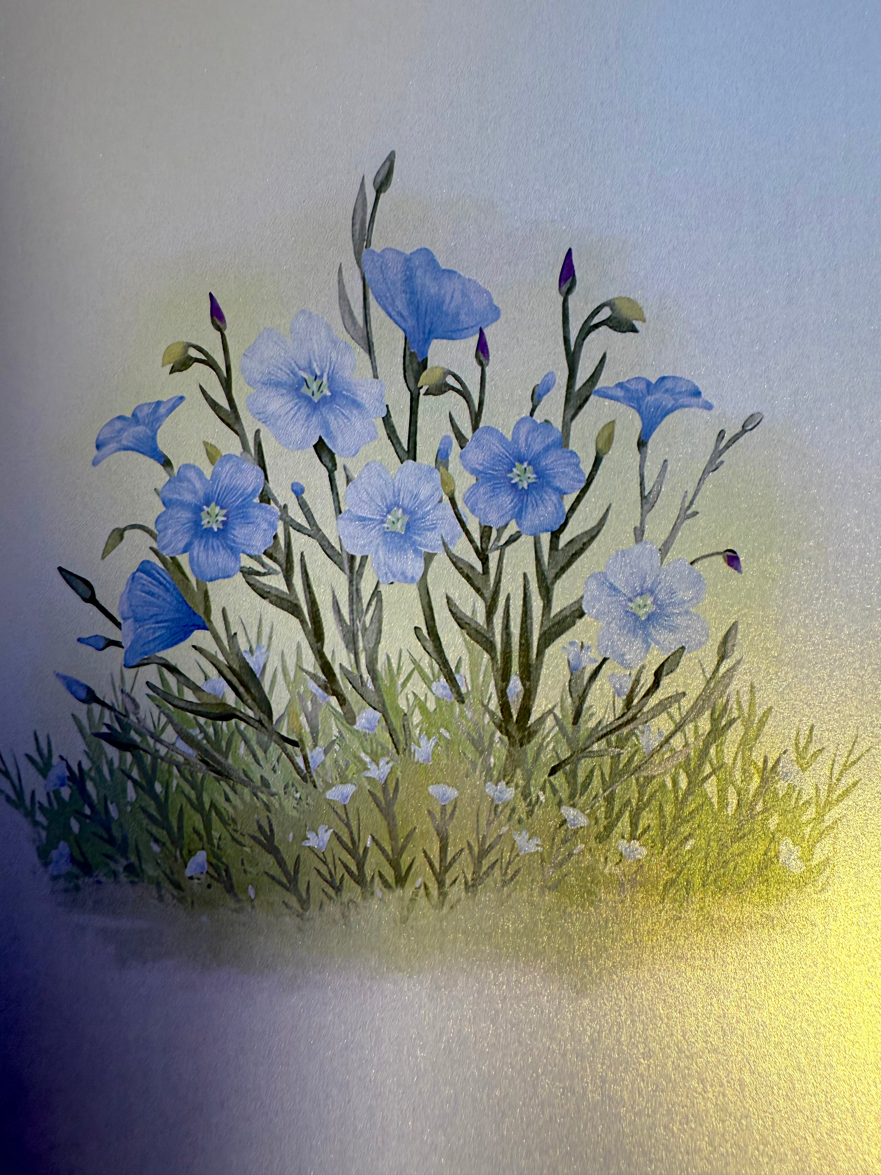 Wild Blue Flax Flower Garden with a White Cat Origami Pop Cards 3D Pop Up Greeting Card Best Wishes Happy Birthday Gift Thank You Handmade Best Wishes Blank Card for Any Occasion Happy Mother's Day Happy Father's Day Celebrate the Beauty Of Nature