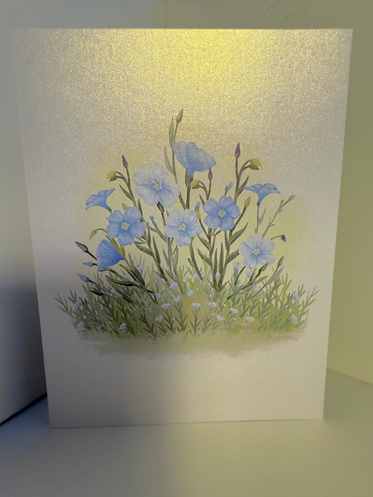 Wild Blue Flax Flower Garden with a White Cat Origami Pop Cards 3D Pop Up Greeting Card Best Wishes Happy Birthday Gift Thank You Handmade Best Wishes Blank Card for Any Occasion Happy Mother's Day Happy Father's Day Celebrate the Beauty Of Nature