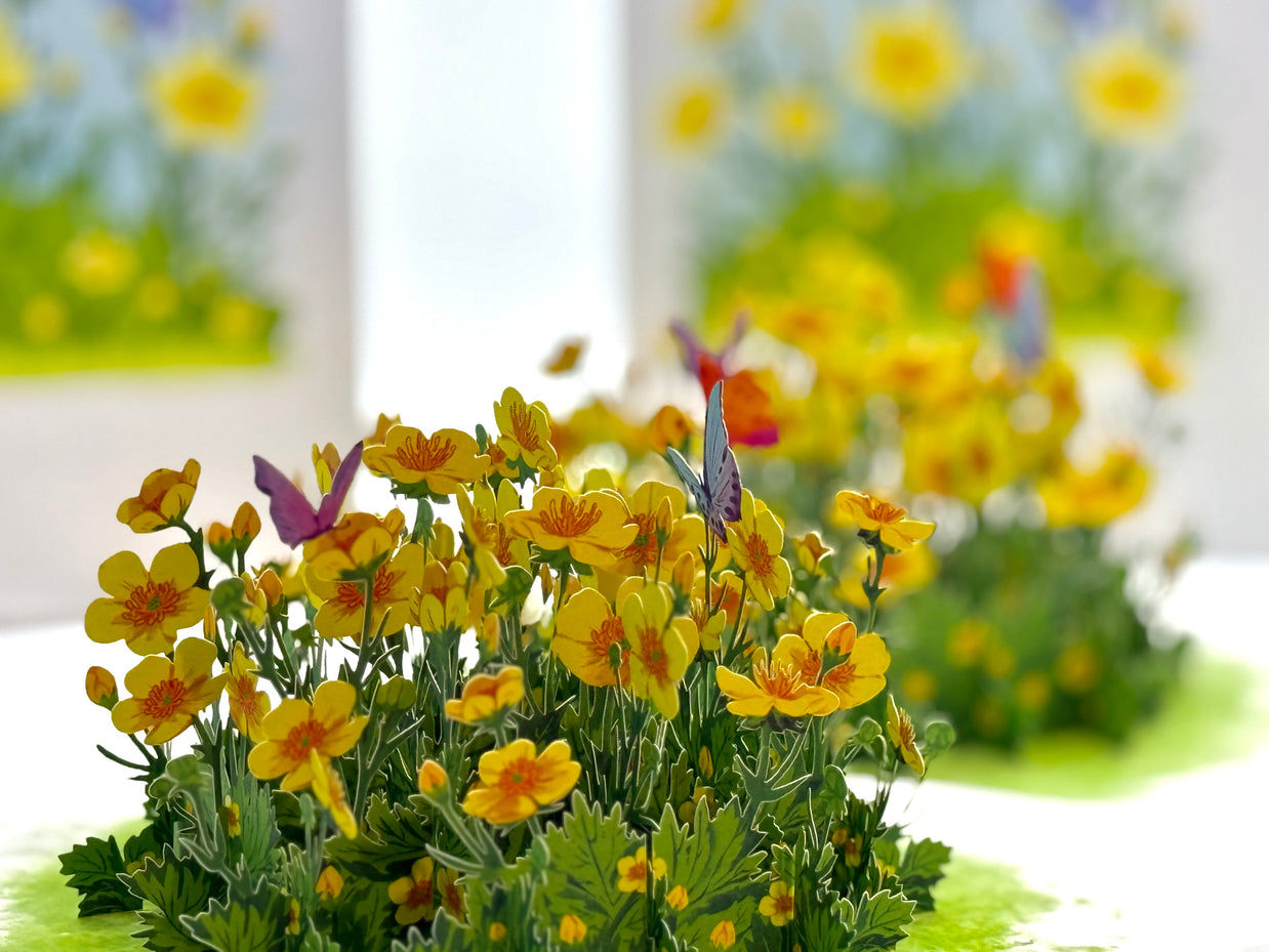 Wild Celery or Creeping Buttercup Glossy Yellow Flower Garden Origami Pop Cards 3D Pop Up Greeting Card Happy Birthday Thank You Handmade Gift Thinking of You Blank Card for Any Occasion Happy Mother's Day Happy Father's Celebrate the Beauty of Flower