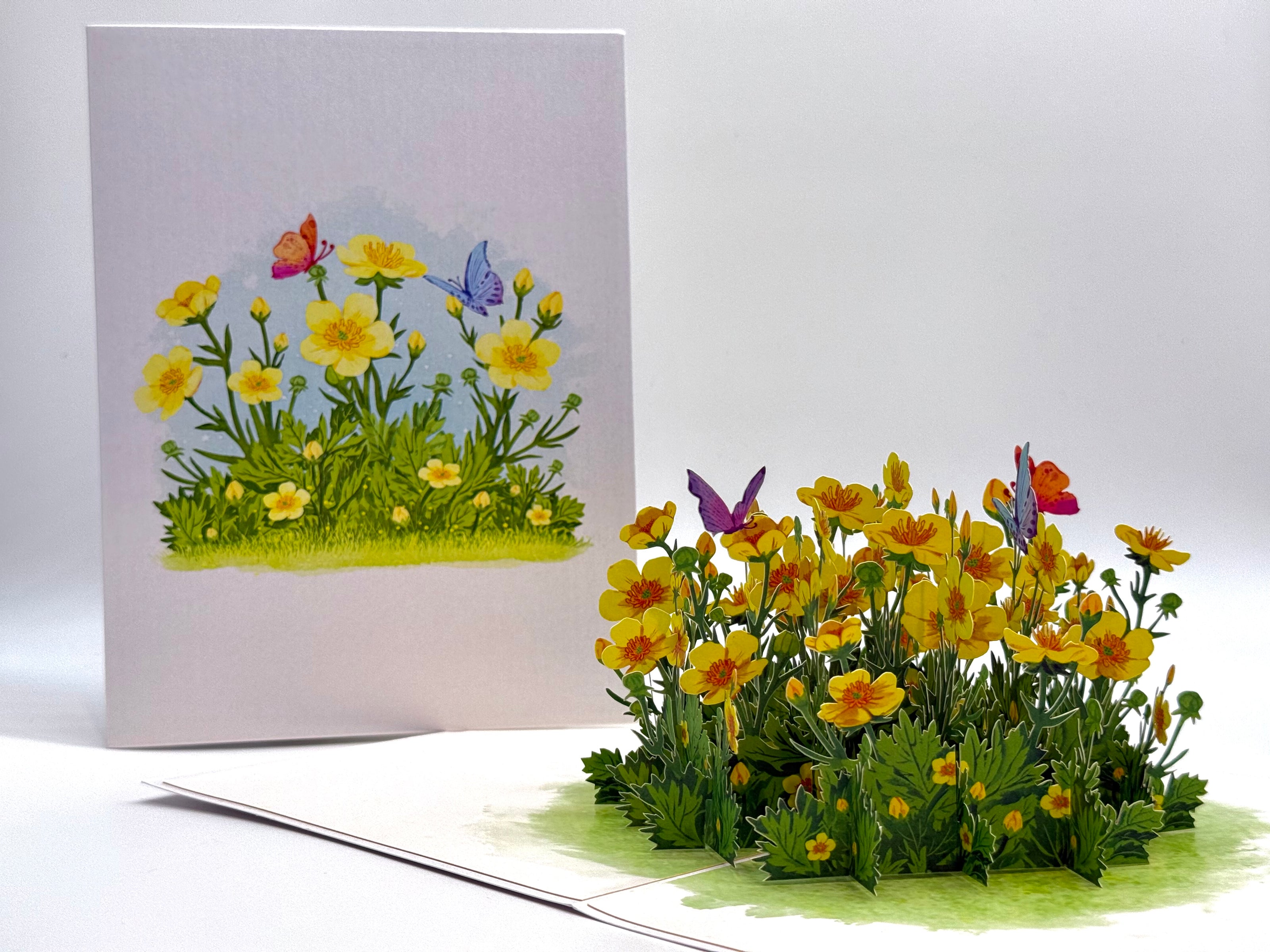 Wild Celery or Creeping Buttercup Glossy Yellow Flower Garden Origami Pop Cards 3D Pop Up Greeting Card Happy Birthday Thank You Handmade Gift Thinking of You Blank Card for Any Occasion Happy Mother's Day Happy Father's Celebrate the Beauty of Flower